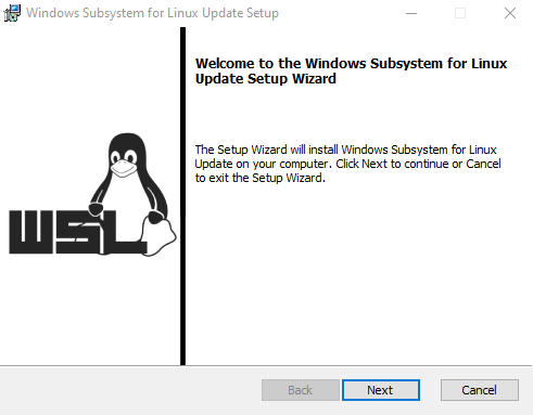 wsl2_kernel_setup.png